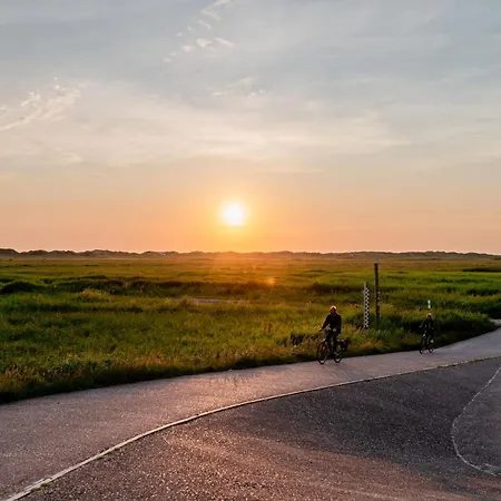 Gegen Den Wind * Böhl