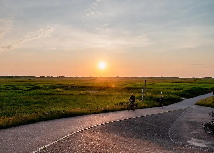 Gegen Den Wind * Böhl